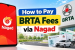 How to Pay BRTA Fees via Nagad